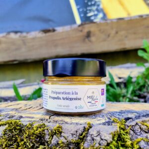 Préparation à la propolis et au miel des pyrénées ariégeoises préparée et mise en pot par l'apicultrice