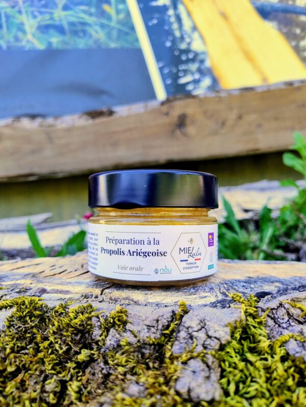 Préparation à la propolis et au miel des pyrénées ariégeoises préparée et mise en pot par l'apicultrice